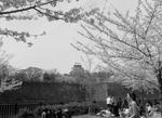 osaka_0804_17.jpg