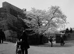 osaka_0804_42.jpg