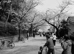 osaka_0804_47.jpg