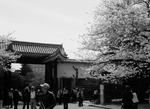 osaka_0804_51.jpg