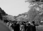osaka_0804_54.jpg