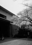 osaka_0804_55.jpg